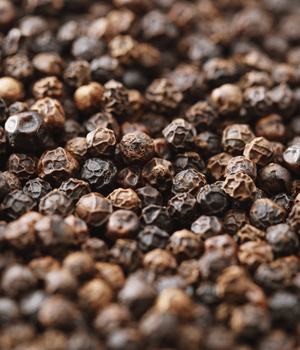 Peppercorn - Spices that start with P