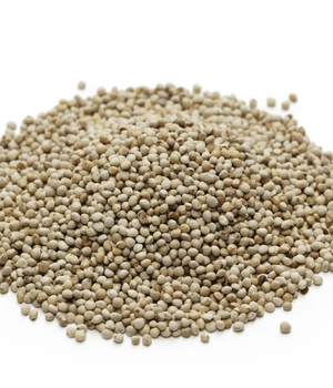 Perilla Seed