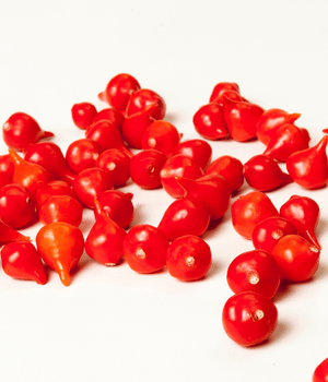 Pimenta - Spices Names that Begin with P