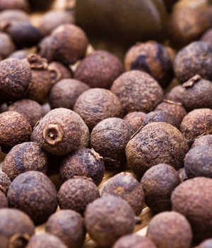 Pimento - Spice Names that Begin with P