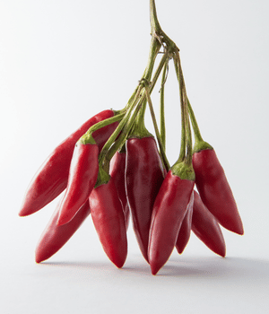Piri Piri - Spice Names that Begin with P