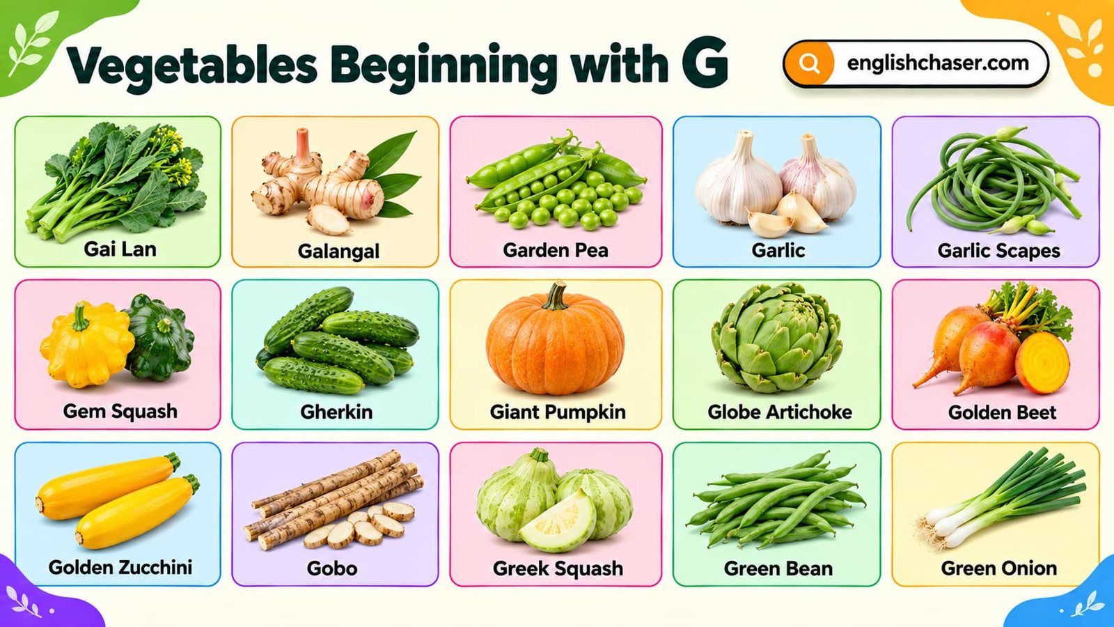 42+ Vegetables that Start with G with Pictures, Names and List