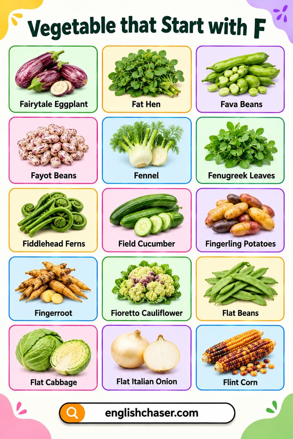 Vegetables That Start With F With Their Pictures