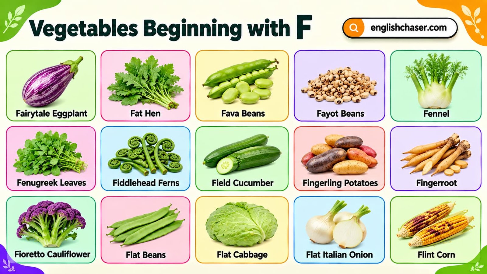 F Veggies with Pictures: 55+ Vegetables that Start with F