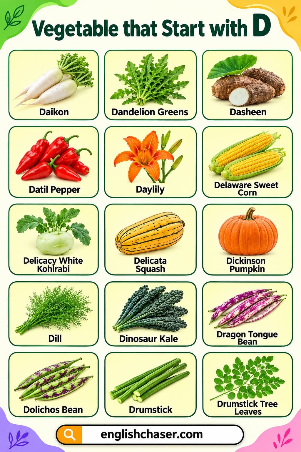 Names of Vegetables That Start With D with Pictures