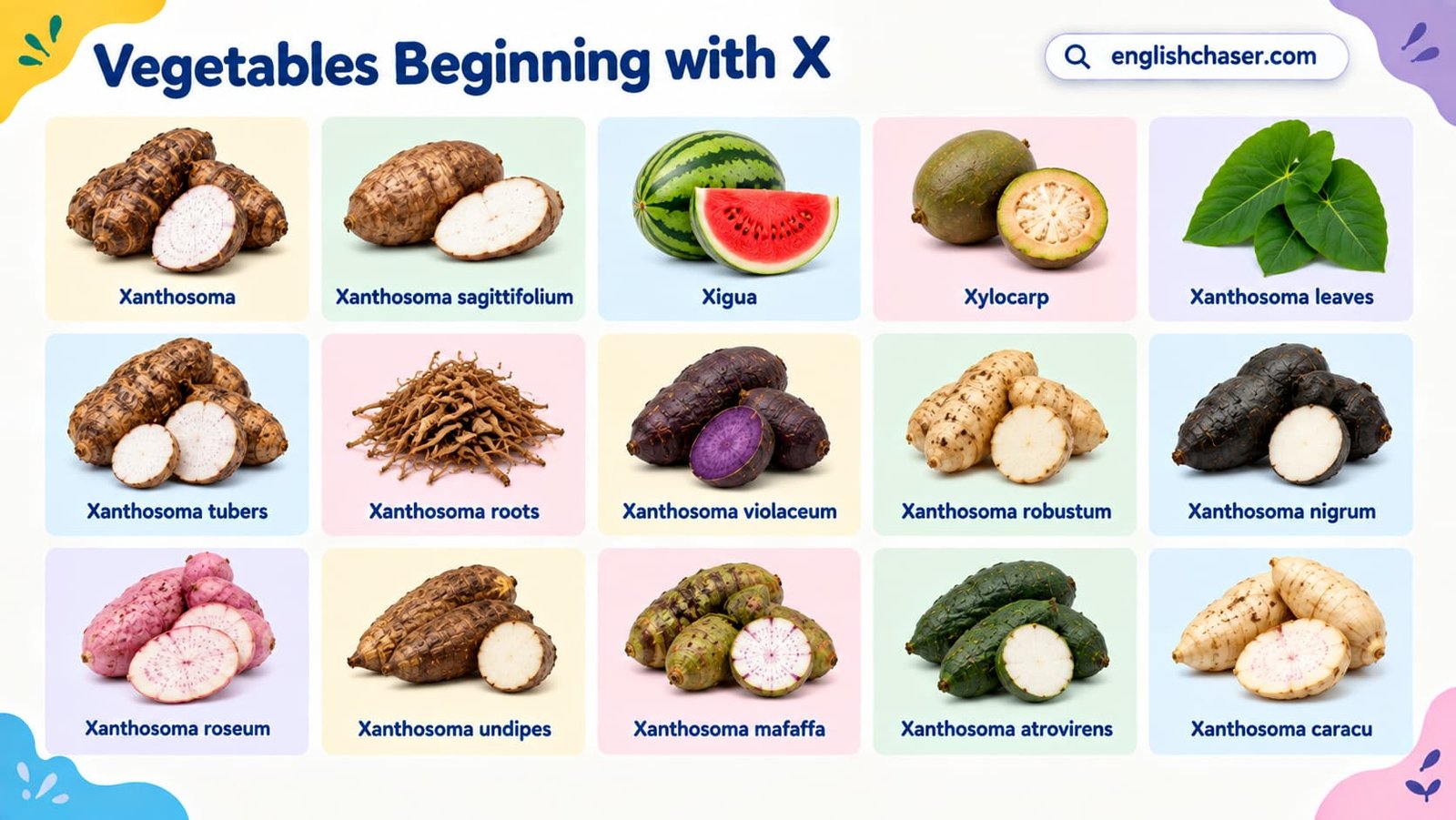 X Veggies with Pictures: 40 Vegetables that Start with X with Names