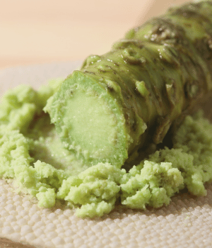 Wasabi - Spices that Start with W