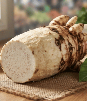 Xanthosoma robustum - Vegetables that Start with X