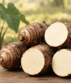 Xanthosoma roots - Vegetables that Start with X